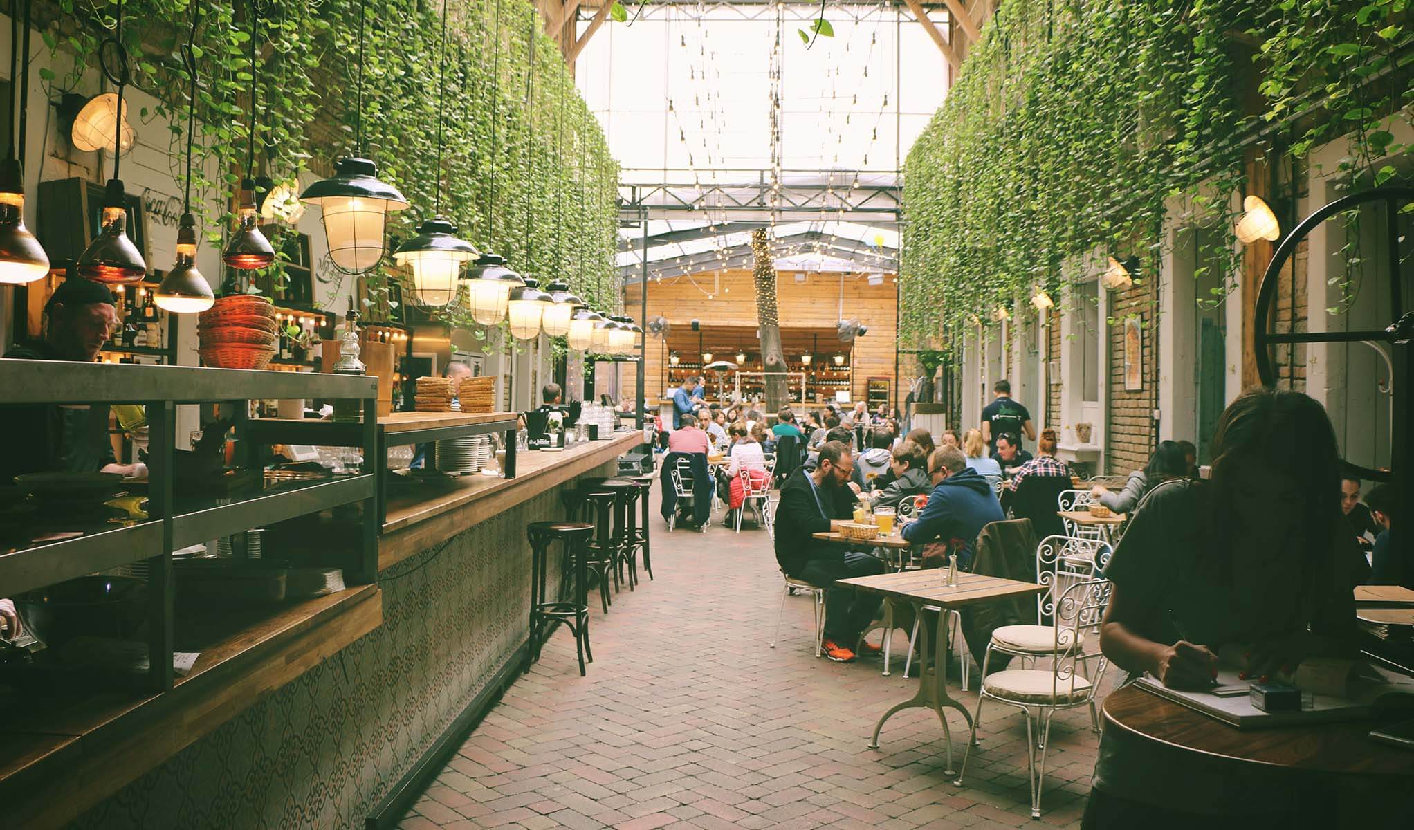 cinclus pharma bistro with greenery in the ceiling